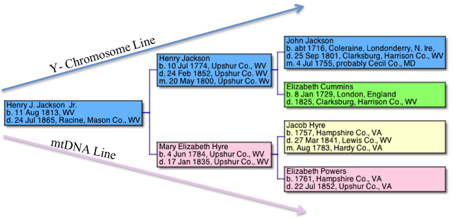 Image of Pedigree Chart for Henry J. Jackson, Jr.
